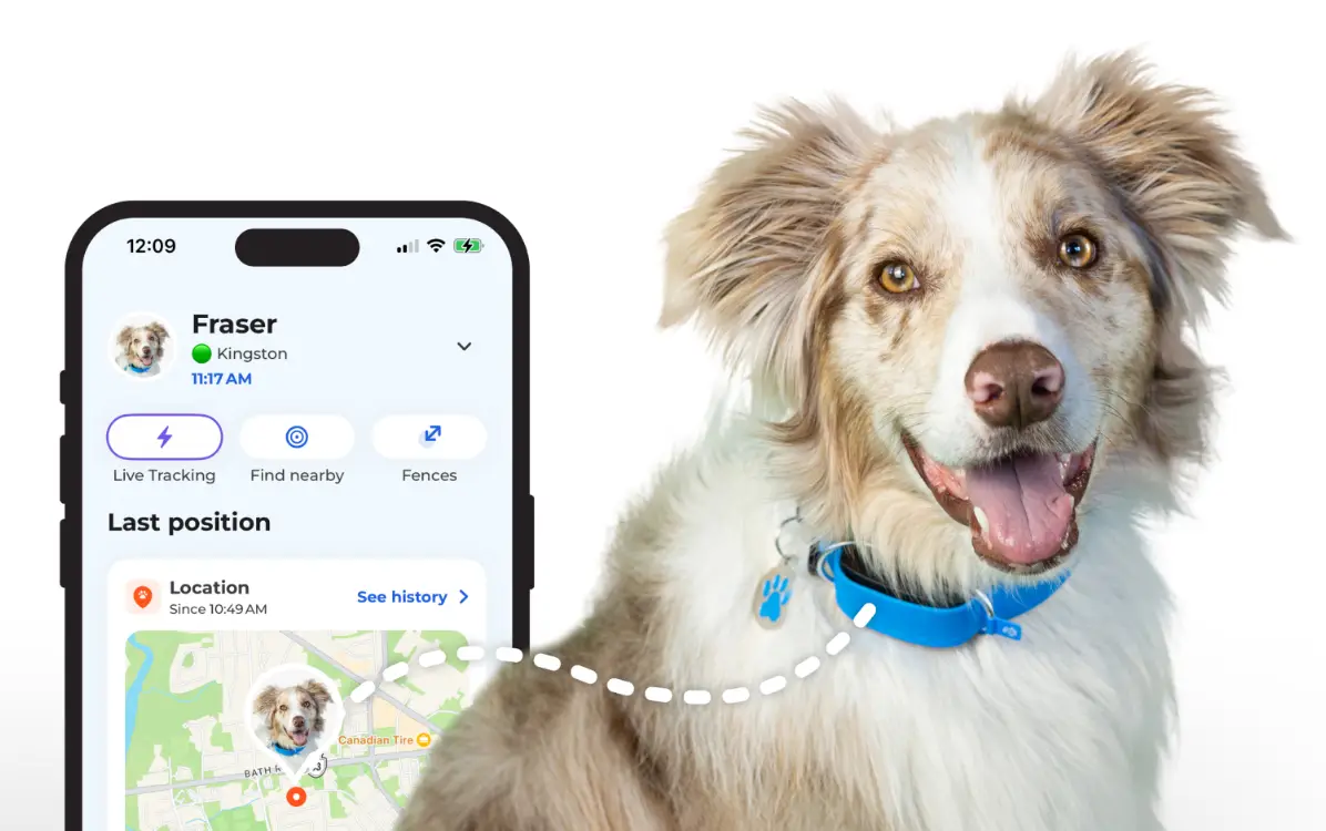 Pet tracking